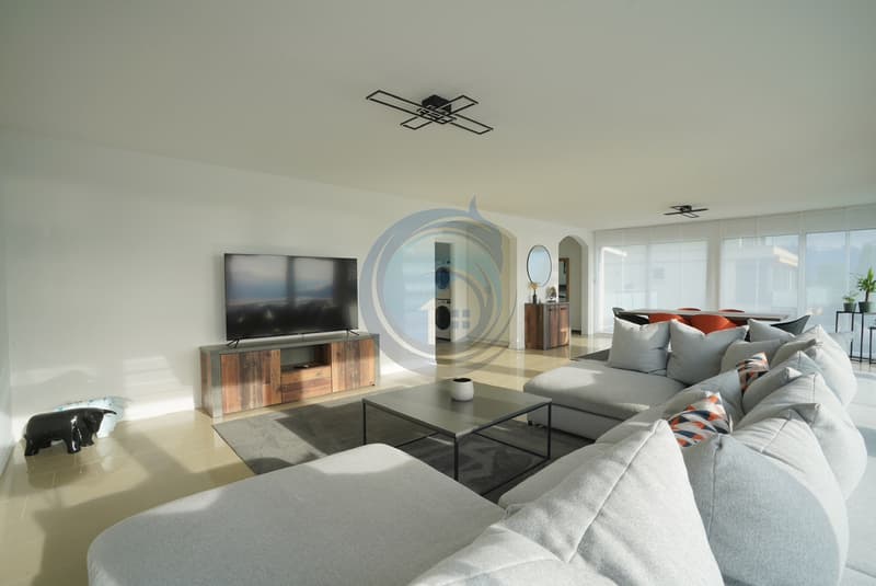 MAGNIFIQUE APPARTEMENT DE STANDING AVEC VUE LAC ET MONTAGNES (11)