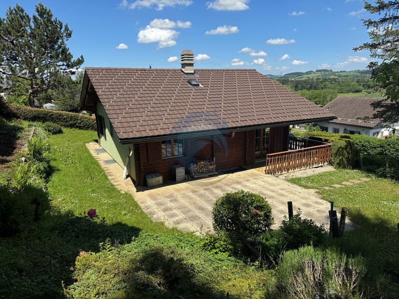 CHARMANTE VILLA TYPE CHALET DE 3,5 PCES AVEC VUE SUR LES APLES (3)