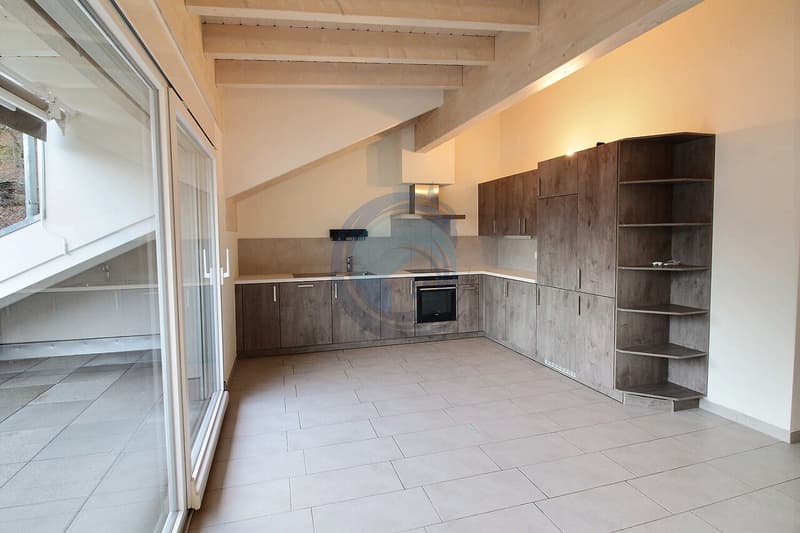 CHARMANT APPARTEMENT 4,5 PCES AU DERNIER ETAGE - LIBRE DE SUITE (3)
