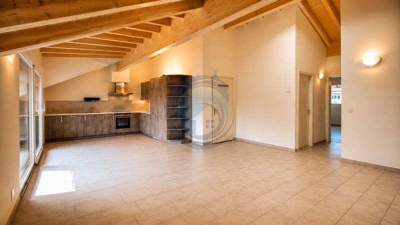 CHARMANT APPARTEMENT 4,5 PCES AU DERNIER ETAGE - LIBRE DE SUITE (4)