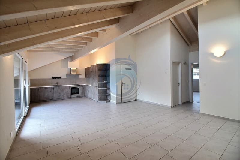 CHARMANT APPARTEMENT 4,5 PCES AU DERNIER ETAGE - LIBRE DE SUITE (2)
