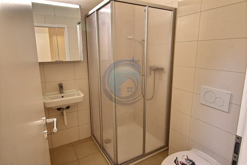 CHARMANT APPARTEMENT 4,5 PCES AU DERNIER ETAGE - LIBRE DE SUITE (10)