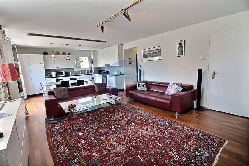 BEL APPARTEMENT D'ANGLE DE 3 PCES AVEC BALCON-PROCHE DES RIVES DU LAC (6)