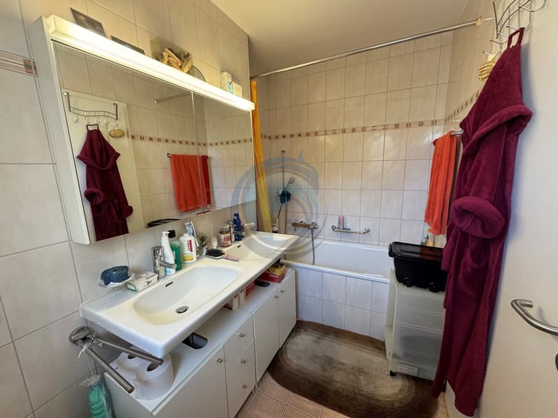 BEL APPARTEMENT D'ANGLE DE 3 PCES AVEC BALCON-PROCHE DES RIVES DU LAC (6)