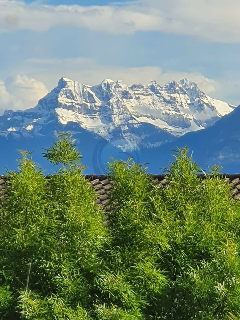 BEL APPARTEMENT D'ANGLE DE 3 PCES AVEC BALCON-PROCHE DES RIVES DU LAC (5)