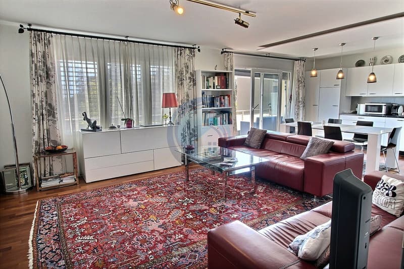 BEL APPARTEMENT D'ANGLE DE 3 PCES AVEC BALCON-PROCHE DES RIVES DU LAC (7)