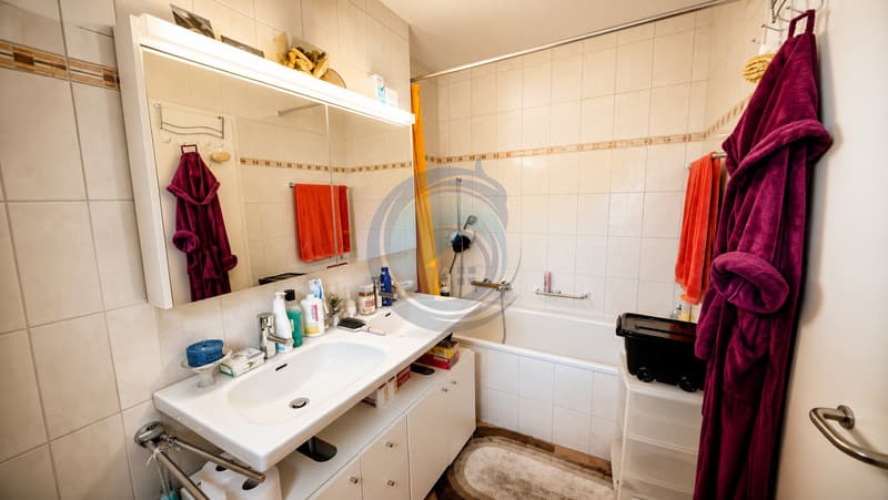 BEL APPARTEMENT D'ANGLE DE 3 PCES AVEC BALCON-PROCHE DES RIVES DU LAC (7)
