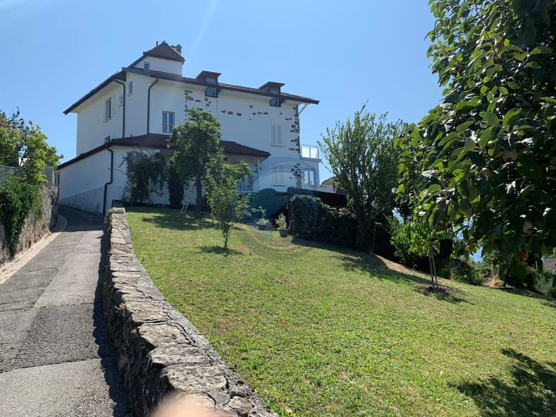 SUPERBE PROPRIÉTÉ MULTIFAMILIALE DE 4 LOGEMENTS AVEC VUE IMPRENABLE SUR LE LAC (6)
