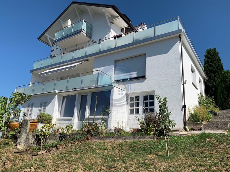 SUPERBE PROPRIÉTÉ MULTIFAMILIALE DE 4 LOGEMENTS AVEC VUE IMPRENABLE SUR LE LAC (4)