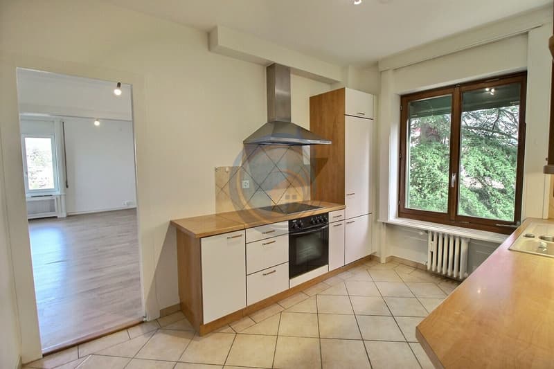 SPACIEUX APPARTEMENT DE 4,5 PIÈCES AVEC BUREAU ET VUE SUR LE LAC (9)