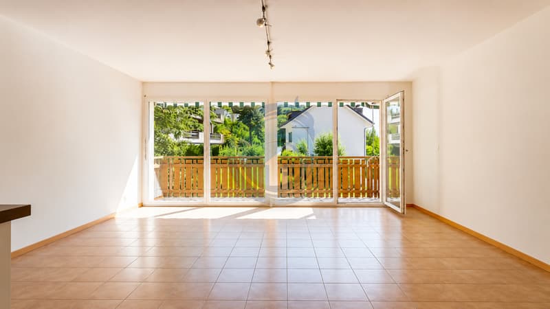 BEL APPARTEMENT TRAVERSANT DE 3,5 PIÈCES AVEC JOLI BALCON (6)