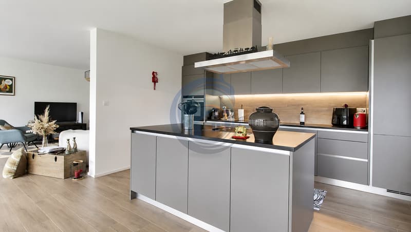Spacieux Appartement de 4.5 Pièces en Rez-de-Jardin (3)