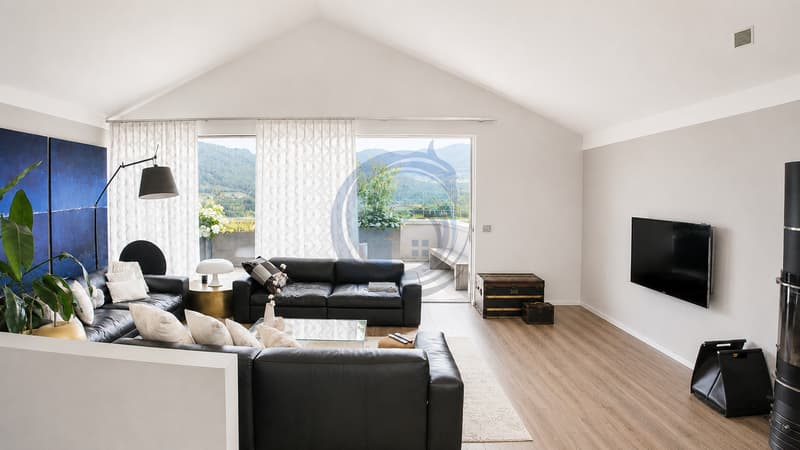 MAGNIFIQUE VILLA CONTEMPORAINE DE 7.5 PIÈCES À MORLON (10)