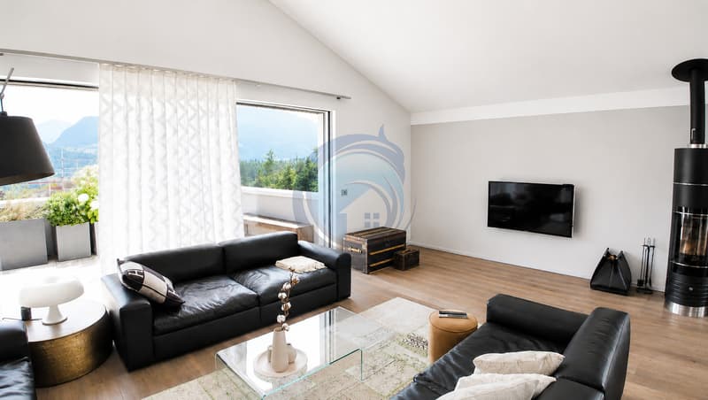 MAGNIFIQUE VILLA CONTEMPORAINE DE 7.5 PIÈCES À MORLON (11)