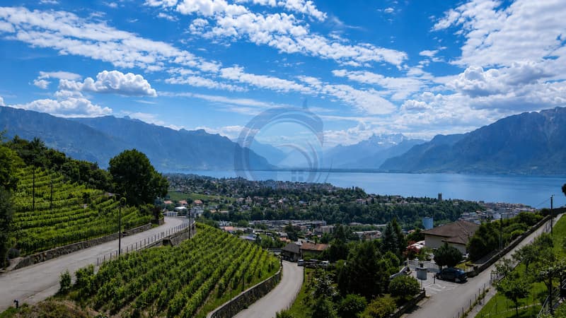 CHARMANTE VILLA MITOYENNE DE 5.5 PIÈCES AVEC VUE SUR LE LAC (2)