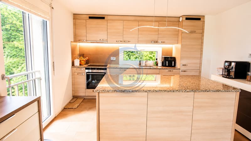 BEL APPARTEMENT TRAVERSANT D'ANGLE DE 3,5 PIÈCES AVEC GRAND BALCON (7)