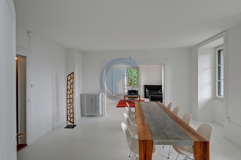 MAGNIFIQUE APPARTEMENT DE 7,5 PIÈCES AVEC VUE SUR LE LAC (4)