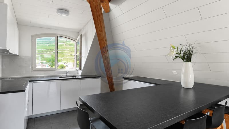 CHARMANT APPARTEMENT EN ATTIQUE DE 4.5 PIÈCES AU CENTRE-VILLE D'AIGLE (7)