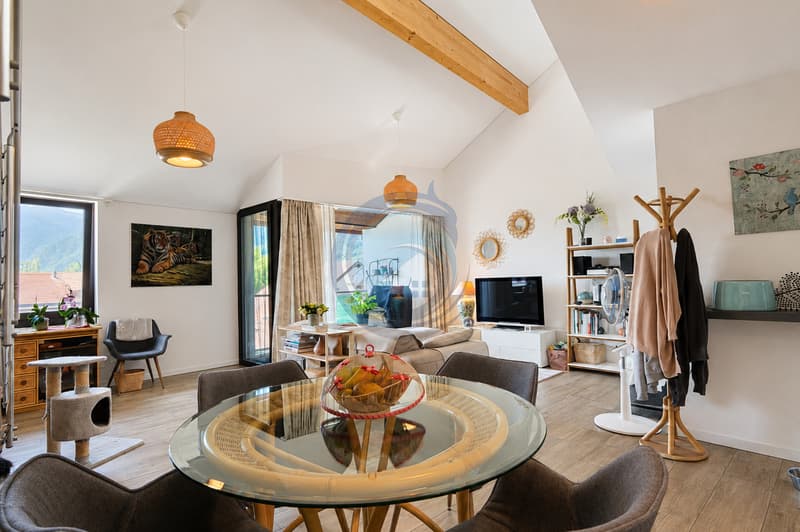 SUPERBE DUPLEX TRAVERSANT DE 4,5 PIÈCES LUMINEUX ET PLEIN DE CHARME (3)