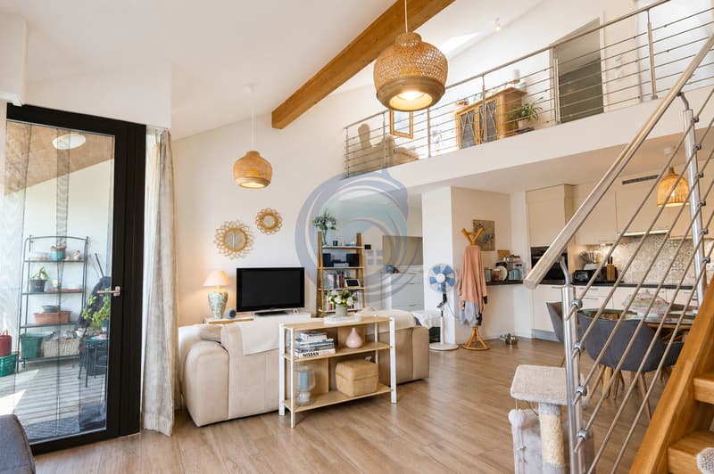 SUPERBE DUPLEX TRAVERSANT DE 4,5 PIÈCES LUMINEUX ET PLEIN DE CHARME (6)