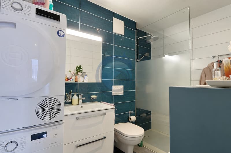 SUPERBE DUPLEX TRAVERSANT DE 4,5 PIÈCES LUMINEUX ET PLEIN DE CHARME (9)