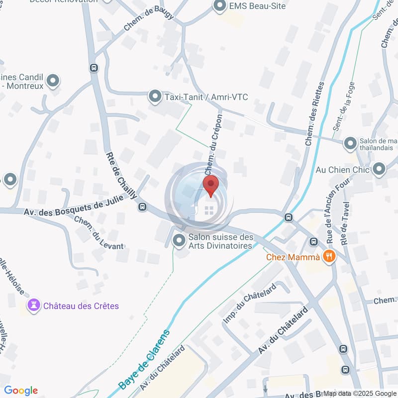 APPARTEMENT DE 2,5 PIÈCES EN ATTIQUE AVEC VUE PANORAMIQUE SUR LE LAC (12)