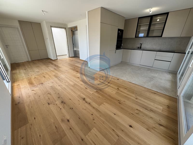 APPARTEMENT DE 2,5 PIÈCES EN ATTIQUE AVEC VUE PANORAMIQUE SUR LE LAC (2)