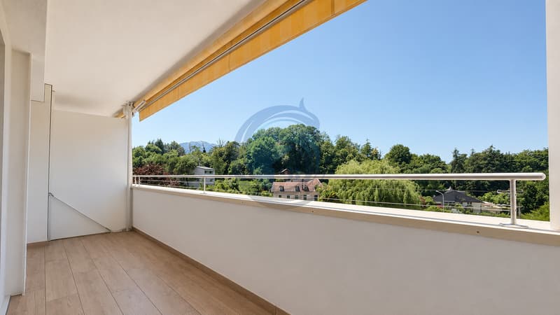 MAGNIFIQUE APPARTEMENT TRAVERSANT DE 4,5 PIÈCES ENTIÈREMENT RÉNOVÉ (12)