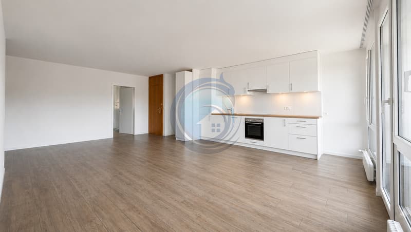 MAGNIFIQUE APPARTEMENT TRAVERSANT DE 4,5 PIÈCES ENTIÈREMENT RÉNOVÉ (3)
