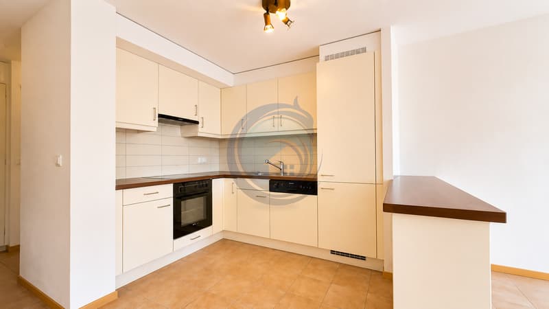 BEL APPARTEMENT TRAVERSANT DE 3,5 PIÈCES AVEC BALCON (7)