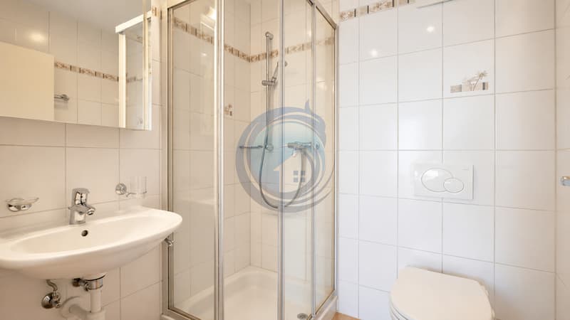 BEL APPARTEMENT TRAVERSANT DE 3,5 PIÈCES AVEC BALCON (9)