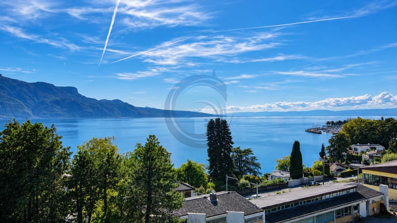 VILLA JUMELÉE AVEC VUE PANORAMIQUE SUR LE LAC ET JARDIN PRIVATIF (1)