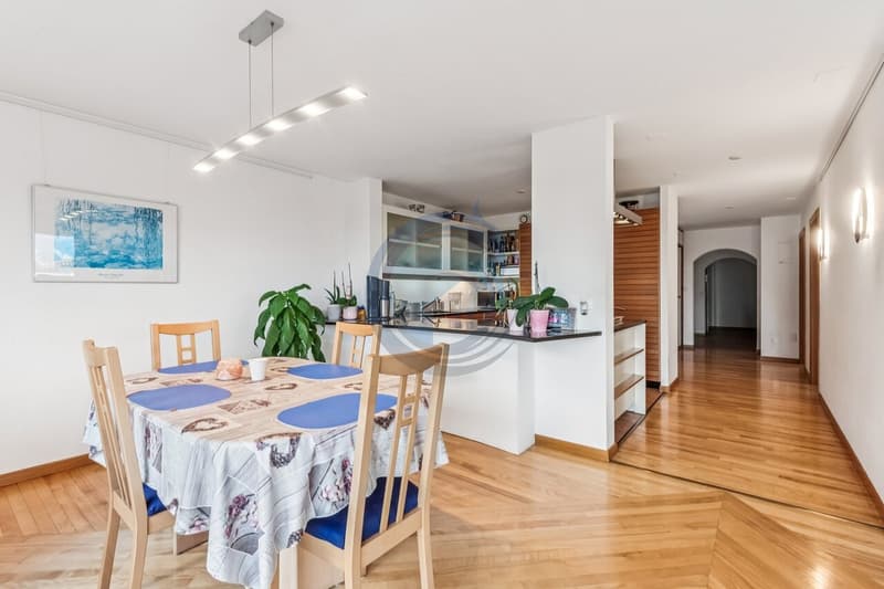 MAGNIFIQUE APPARTEMENT DE 6,5 PIÈCES AVEC TERRASSE ET JARDIN (10)