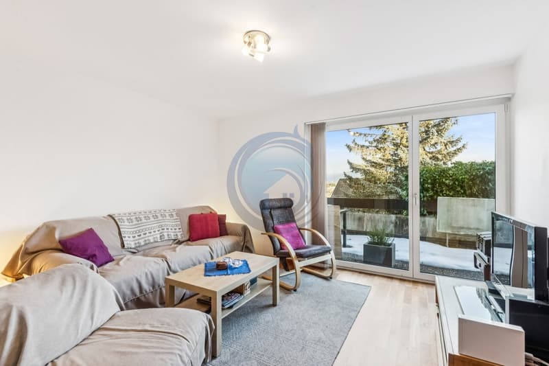 MAGNIFIQUE APPARTEMENT DE 6,5 PIÈCES AVEC TERRASSE ET JARDIN (13)