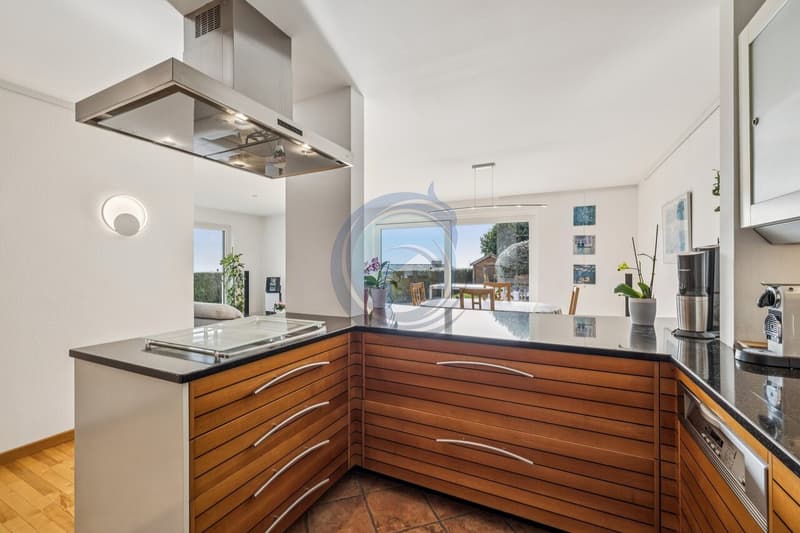MAGNIFIQUE APPARTEMENT DE 6,5 PIÈCES AVEC TERRASSE ET JARDIN (5)