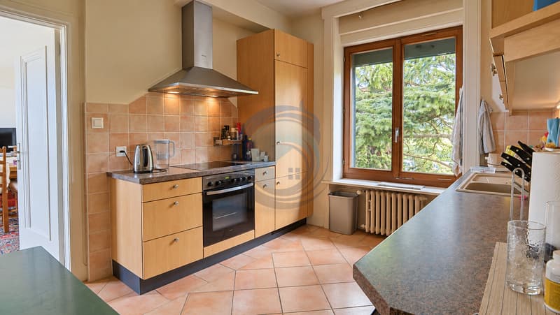 SPACIEUX APPARTEMENT DE 4,5 PIÈCES AVEC VUE PANORAMIQUE SUR LE LAC (3)