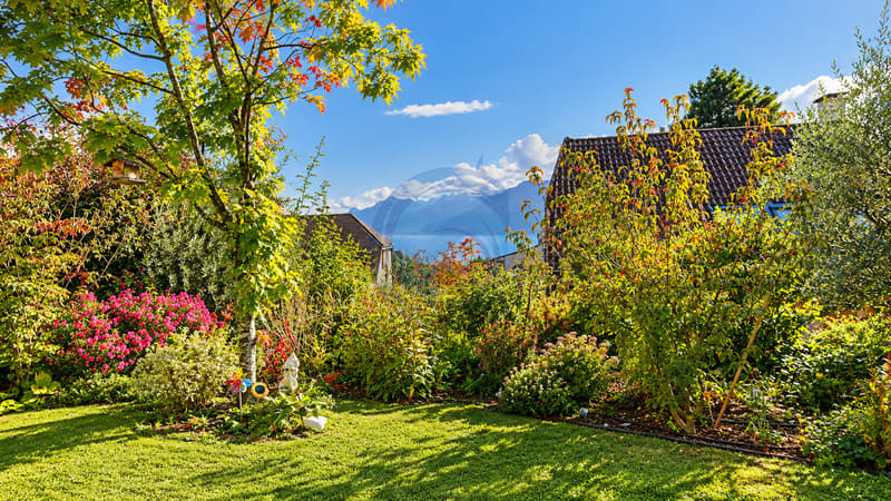 CHARMANTE VILLA INDIVIDUELLE "VAUDOISE" AVEC JARDIN ET VUE SUR LE LAC (3)