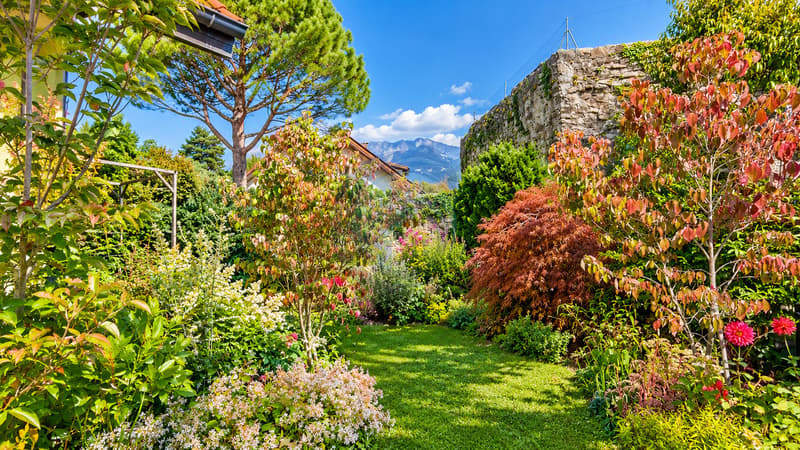CHARMANTE VILLA INDIVIDUELLE "VAUDOISE" AVEC JARDIN ET VUE SUR LE LAC (5)