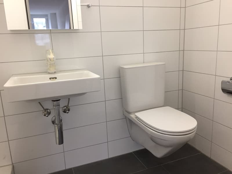 Gemütliche Maisonette Whg. mit Balkon + eigenem WM/TU - zentrale Stadtlage - (5)