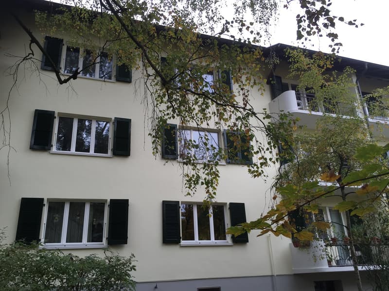 Schöne, helle und ruhige 3-Zimmerwohnung (1)