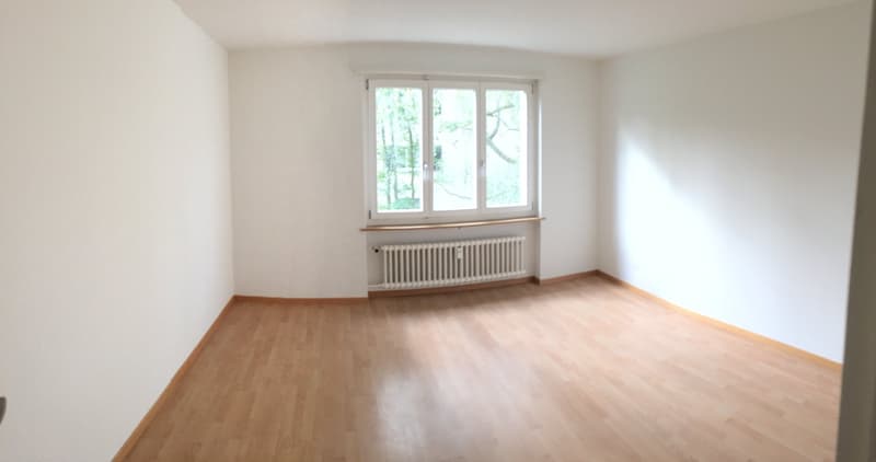 Schöne, helle und ruhige 3-Zimmerwohnung (2)