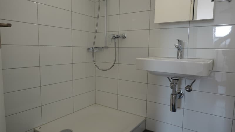 Gemütliche Maisonette Whg. mit Balkon + eigenem WM/TU - zentrale Stadtlage - (7)