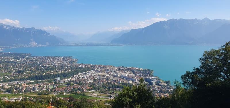 1803 Chardonne