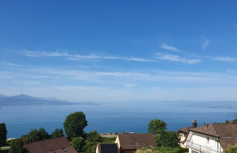 Superbe vue sur le lac - avec terrasse et jardin (2)