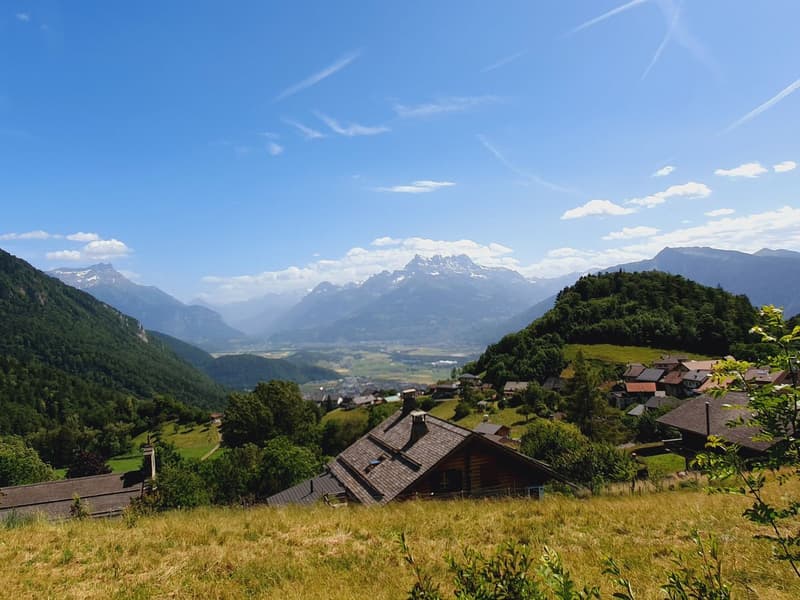Magnifique chalet et grand terrain - vue sur les Dents du Midi (2)