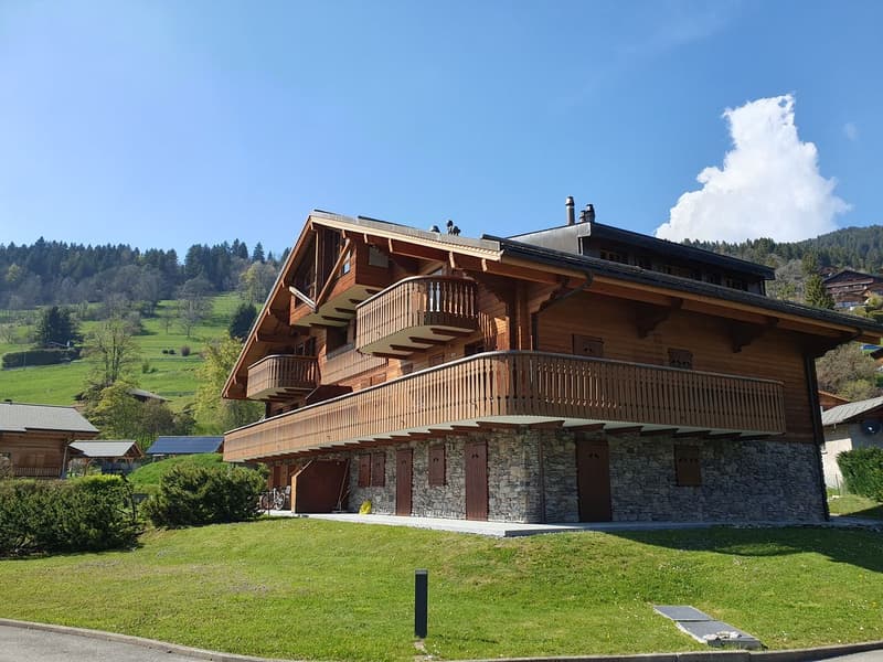 Magnifique appartement en duplex de 6.5 pièces avec SPA et piscine (3)