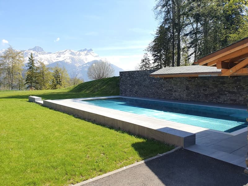 Magnifique appartement en duplex de 6.5 pièces avec SPA et piscine (11)