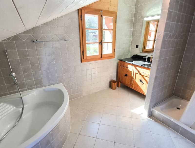 Magnifique appartement en duplex de 6.5 pièces avec SPA et piscine (9)