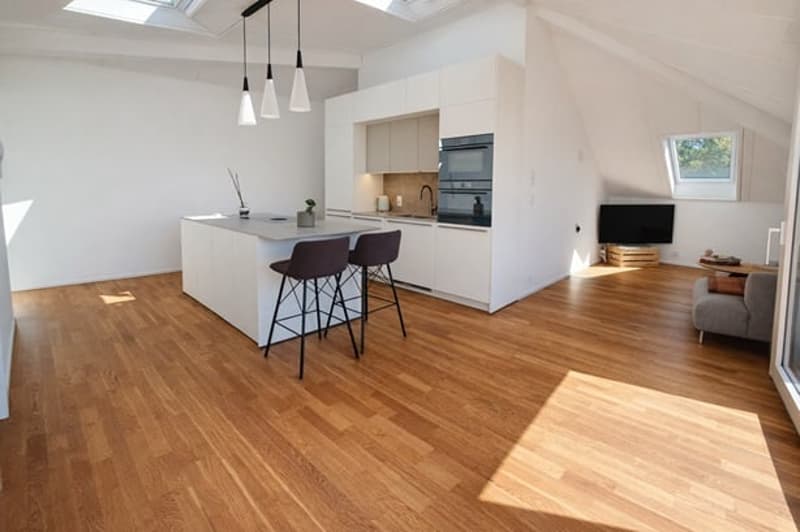 Superbe attique de 3.5 pièces avec balcon sud (1)