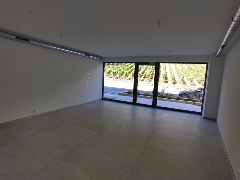 Local commercial pour investisseur (4)